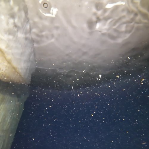 Sprinklertank-Inspektion: Betontank, 15 Jahre – Inspektion Rohrschelle Flansch Deckensicht Sedimente